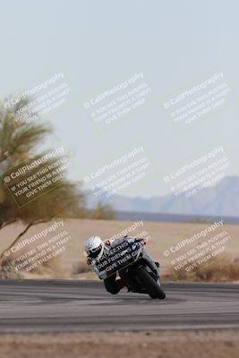 media/Nov-30-2025-TrackXperience (Sun) [[c0061d280f]]/2-Level 2/Session 6 Turn 4 Tree of Life/